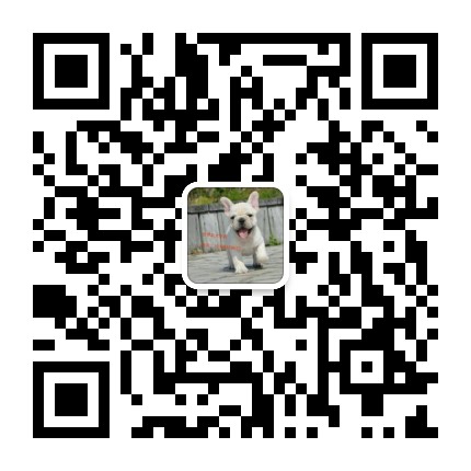 云南宜良卖边牧宜良养殖基地长期出售纯种边牧微信二维码