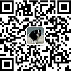 北京卖哈士奇北京买哈士奇北京狗场常年出售纯种哈士奇微信二维码