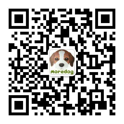 郑州常年出售拉布拉多幼犬郑州哪里买卖拉布拉多小狗微信二维码