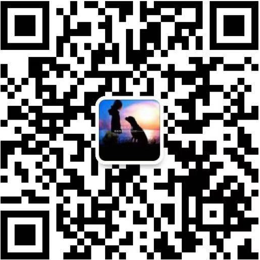 上海买狗松江买狗泰迪多少钱泰迪照片微信二维码